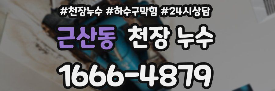 근산동 천장 누수