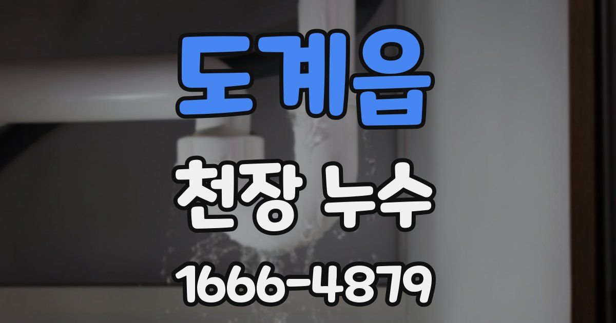 도계읍 천장 누수