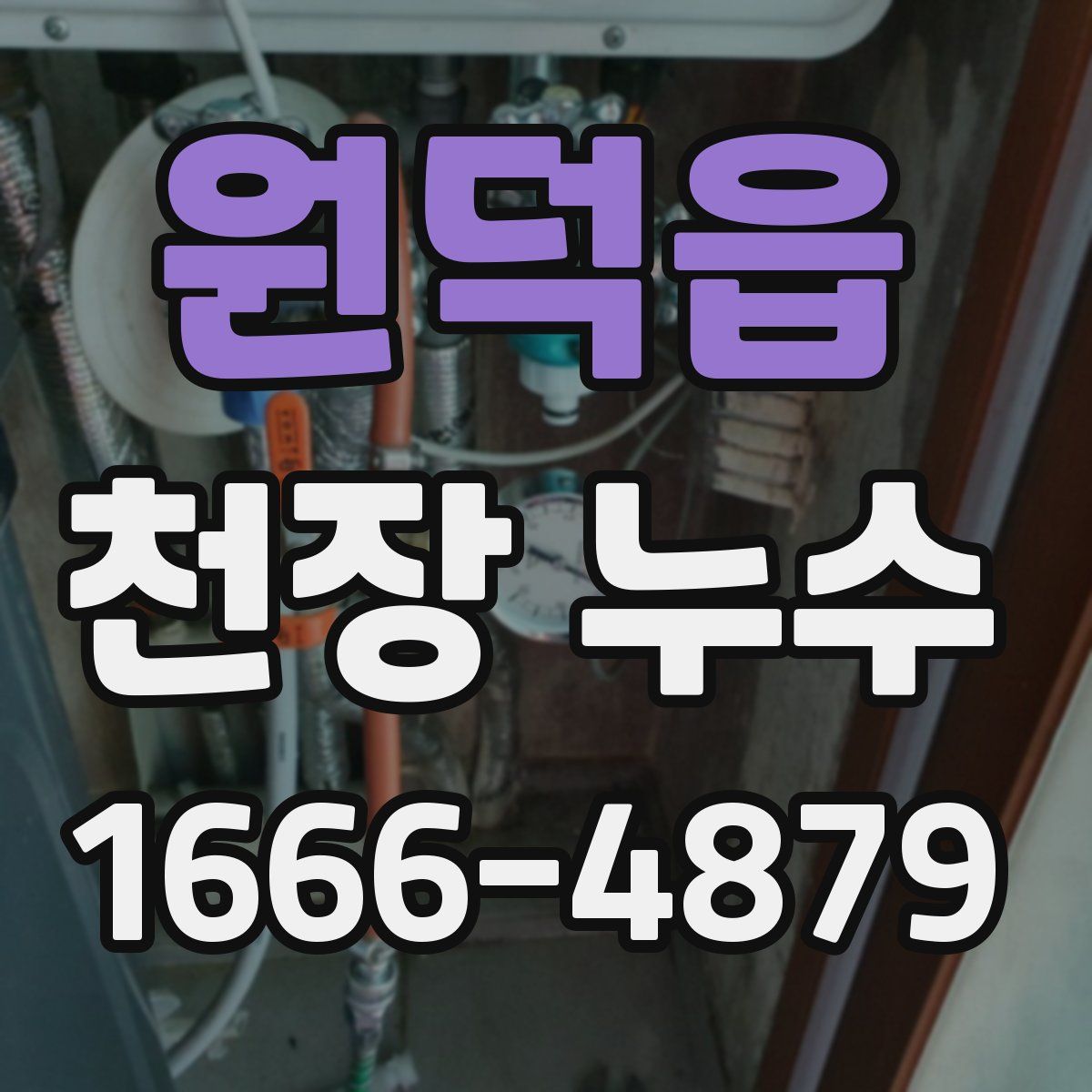 원덕읍 천장 누수