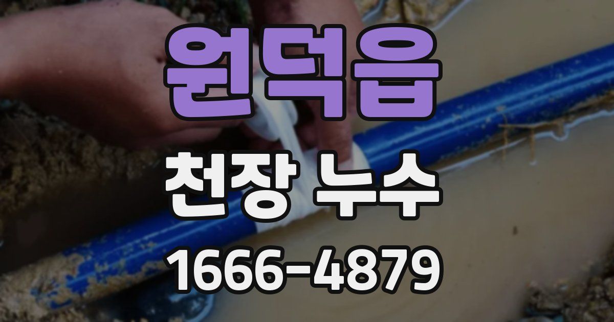 원덕읍 천장 누수