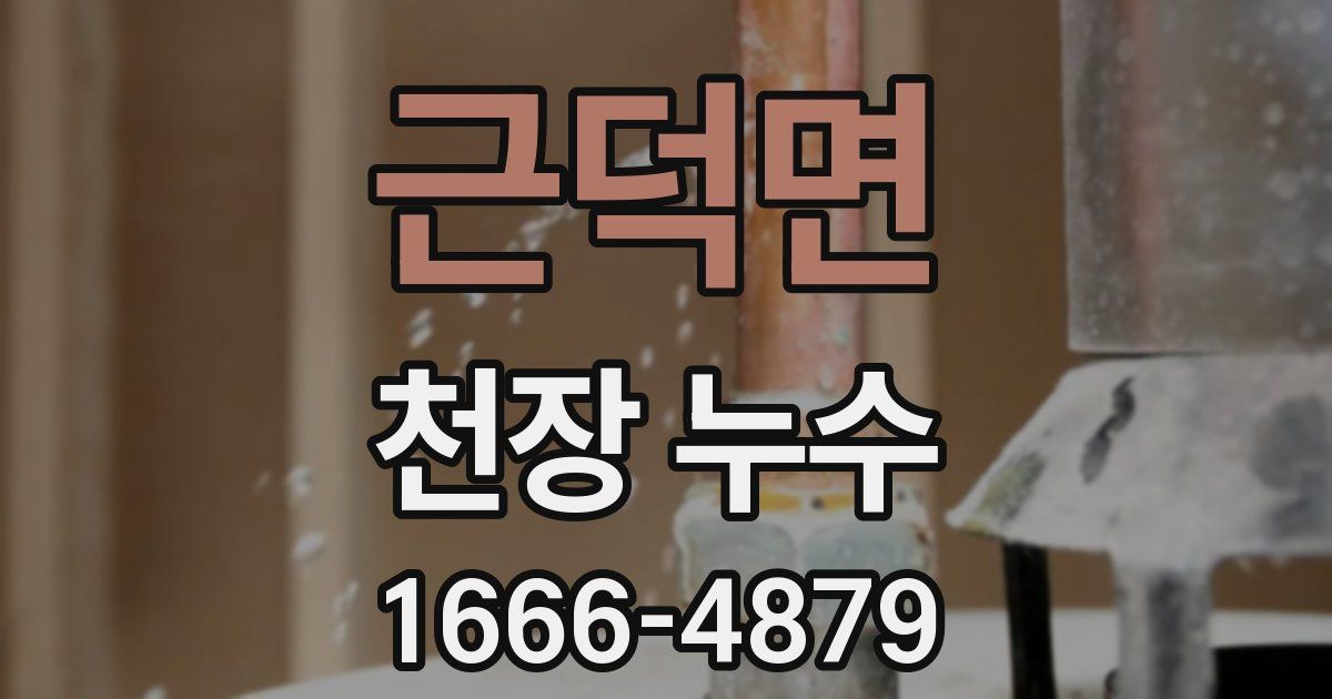 근덕면 천장 누수