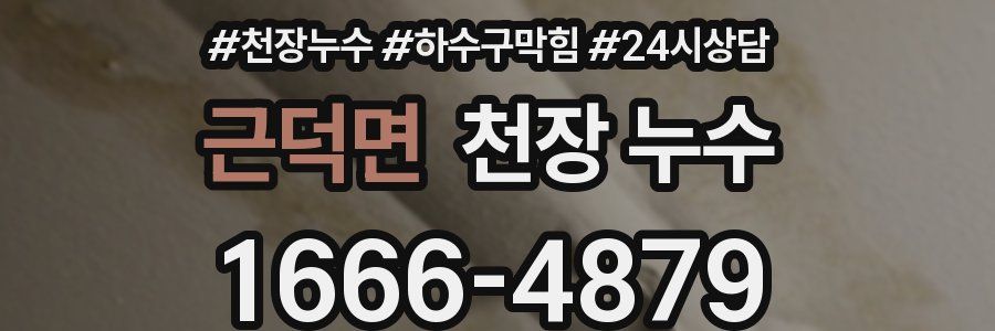 근덕면 천장 누수