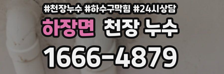 하장면 천장 누수