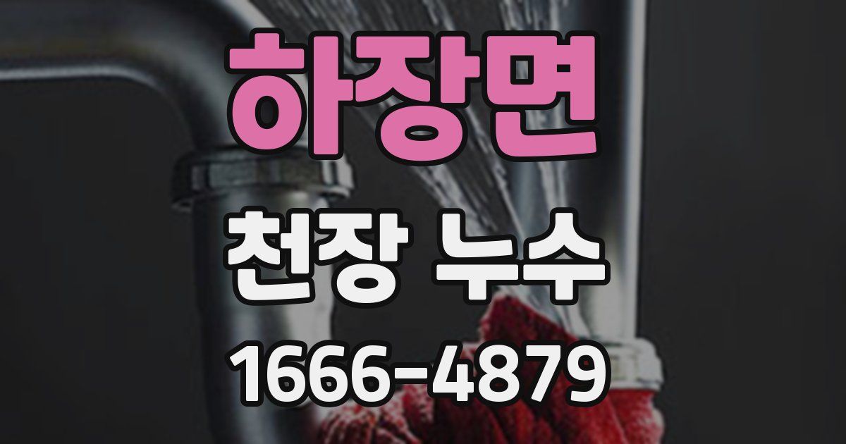 하장면 천장 누수