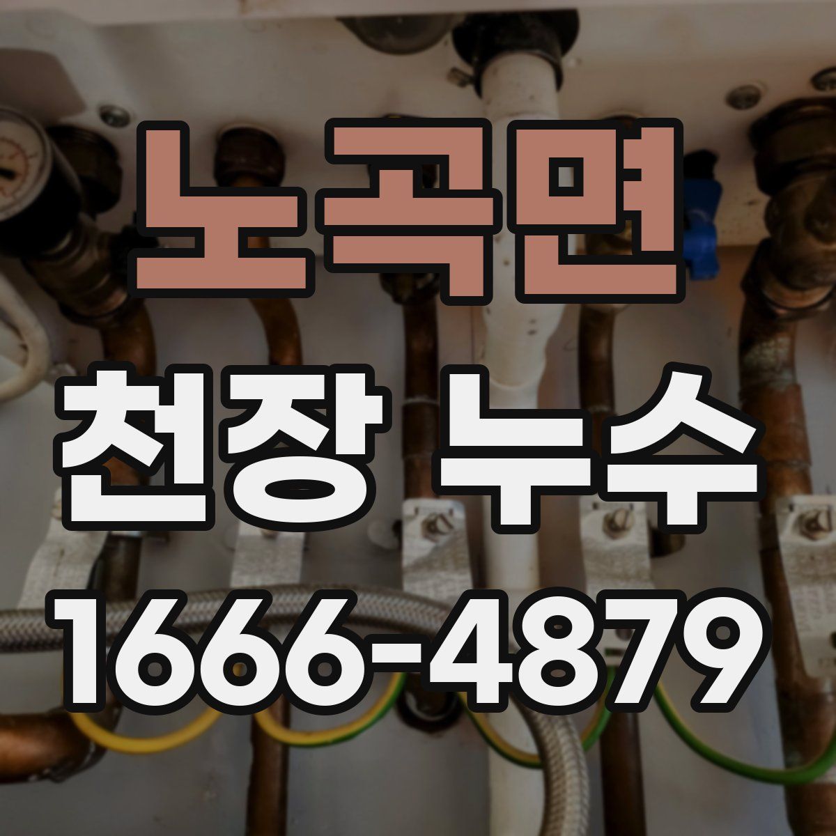 노곡면 천장 누수