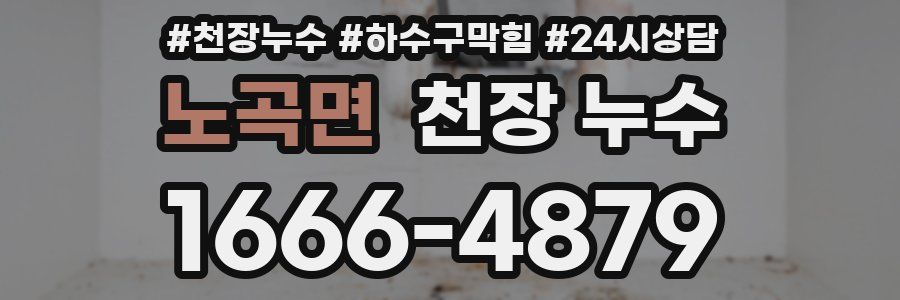 노곡면 천장 누수