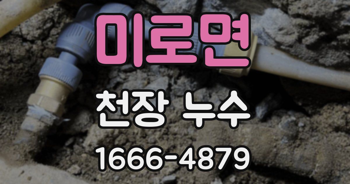 미로면 천장 누수