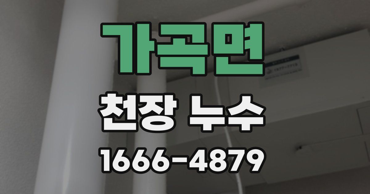 가곡면 천장 누수