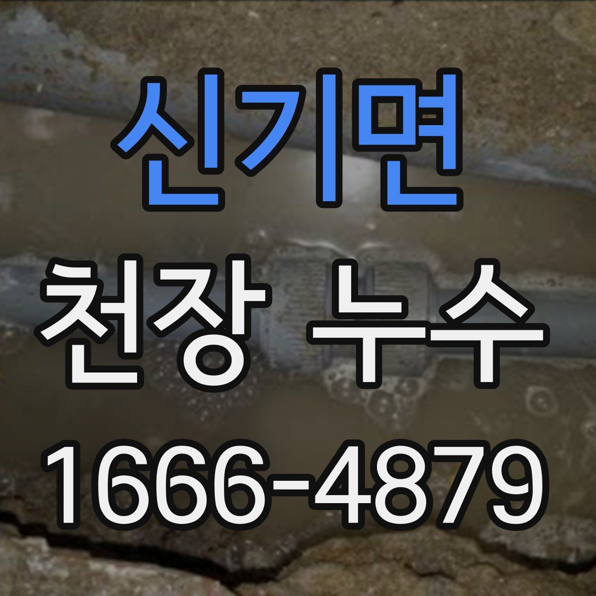 신기면 천장 누수