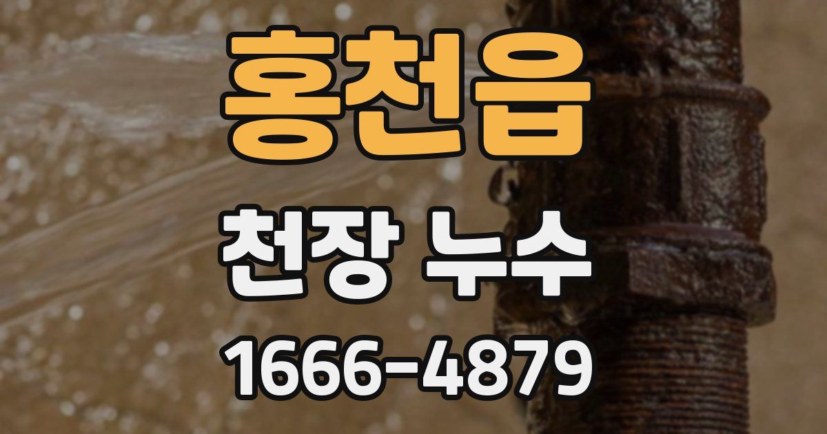 홍천읍 천장 누수