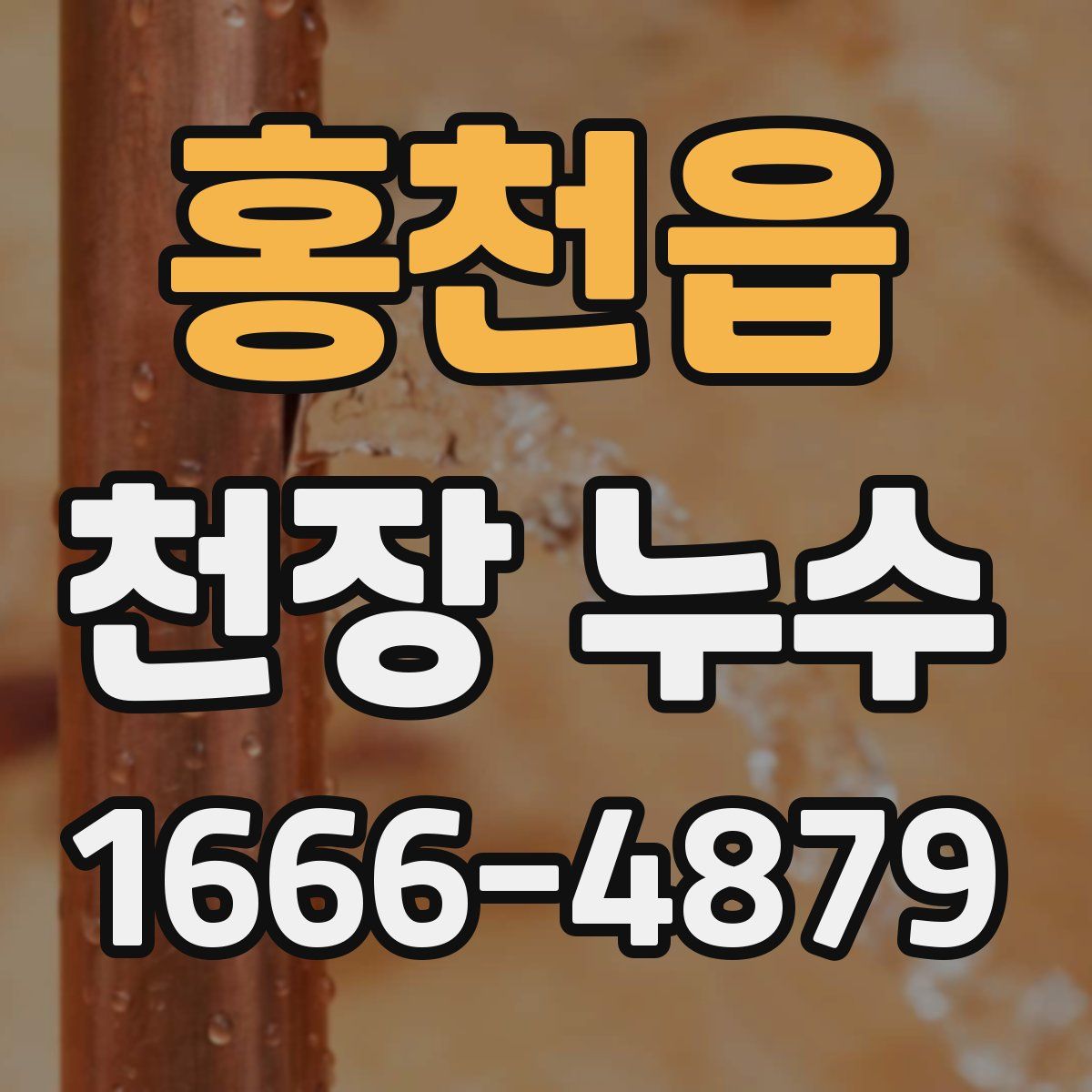 홍천읍 천장 누수