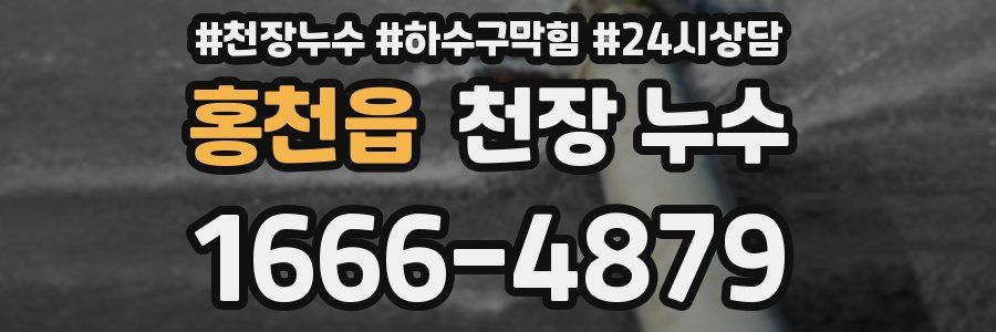 홍천읍 천장 누수