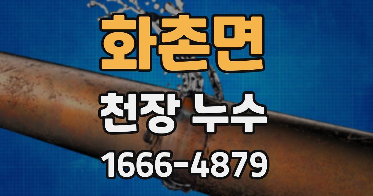 화촌면 천장 누수