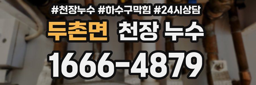 두촌면 천장 누수