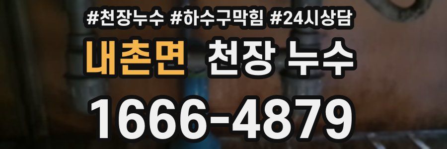 내촌면 천장 누수