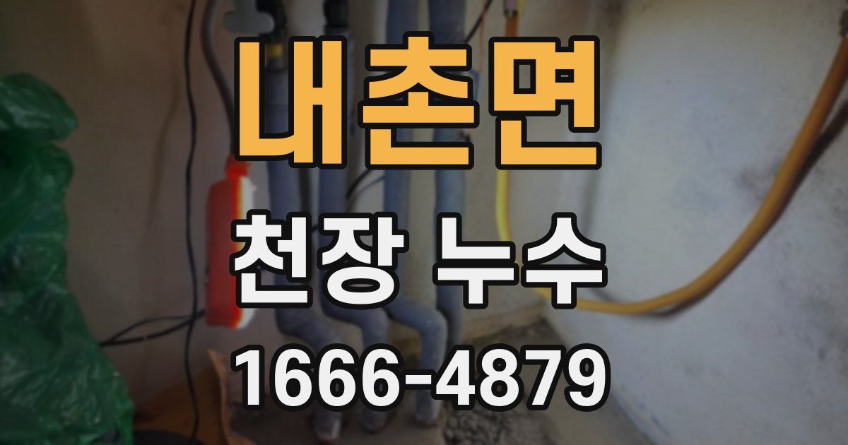 내촌면 천장 누수