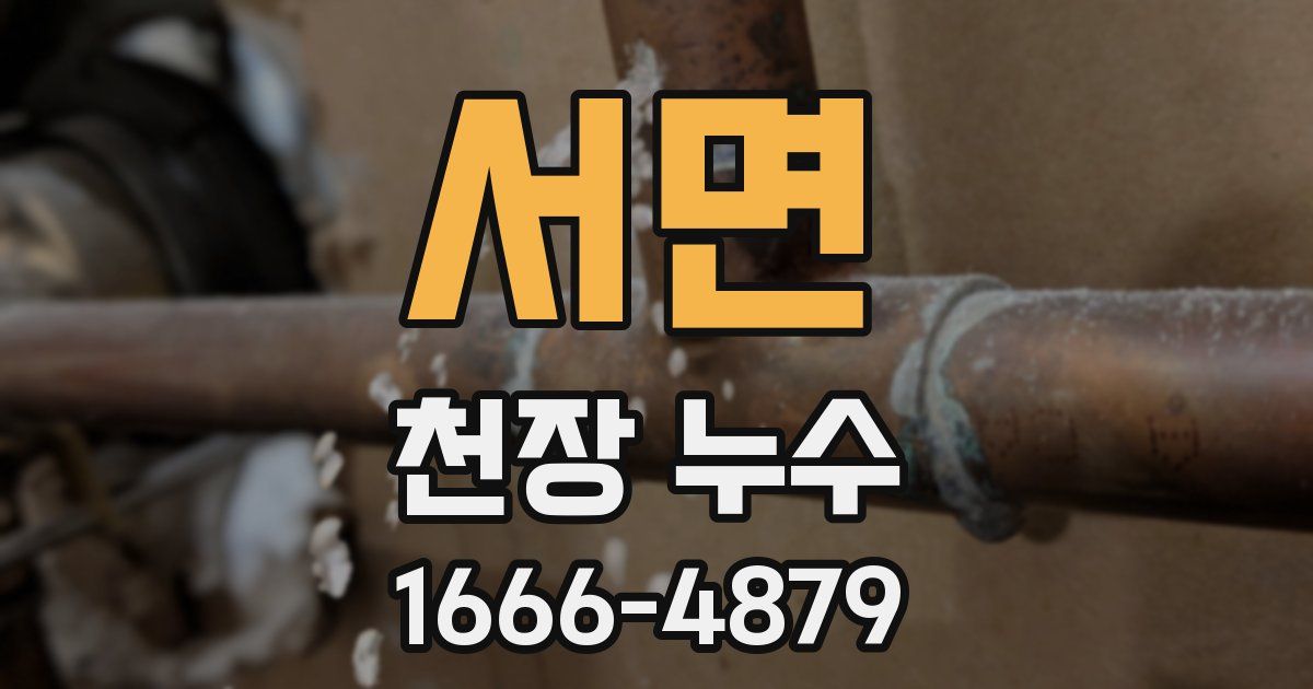 서면 천장 누수