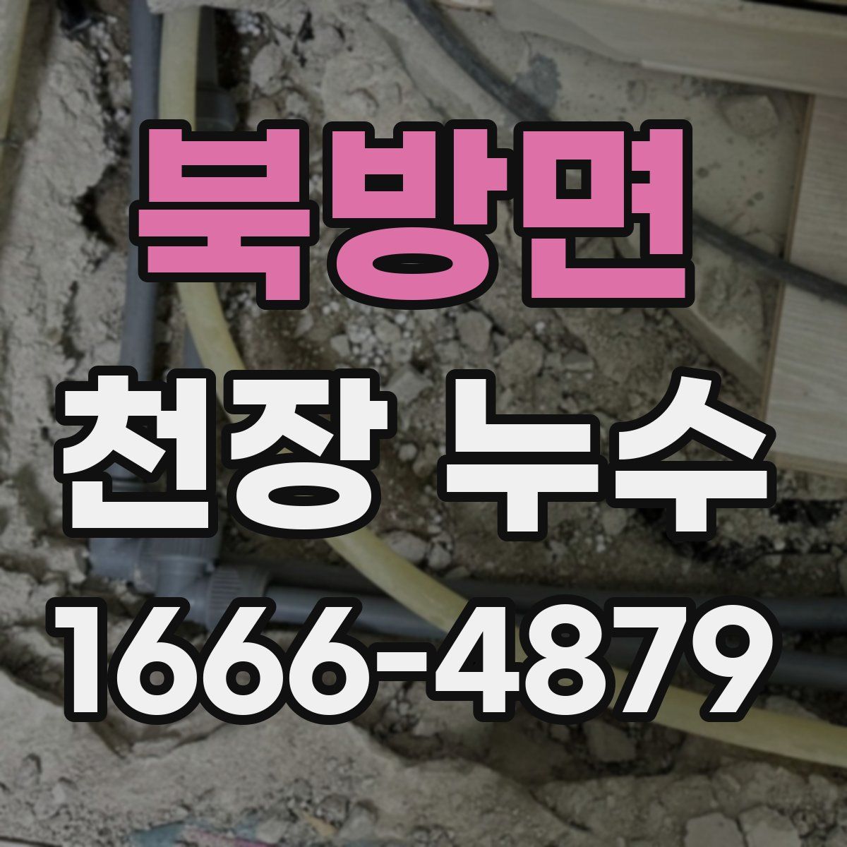 북방면 천장 누수