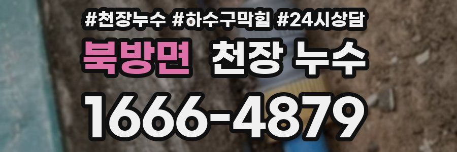 북방면 천장 누수