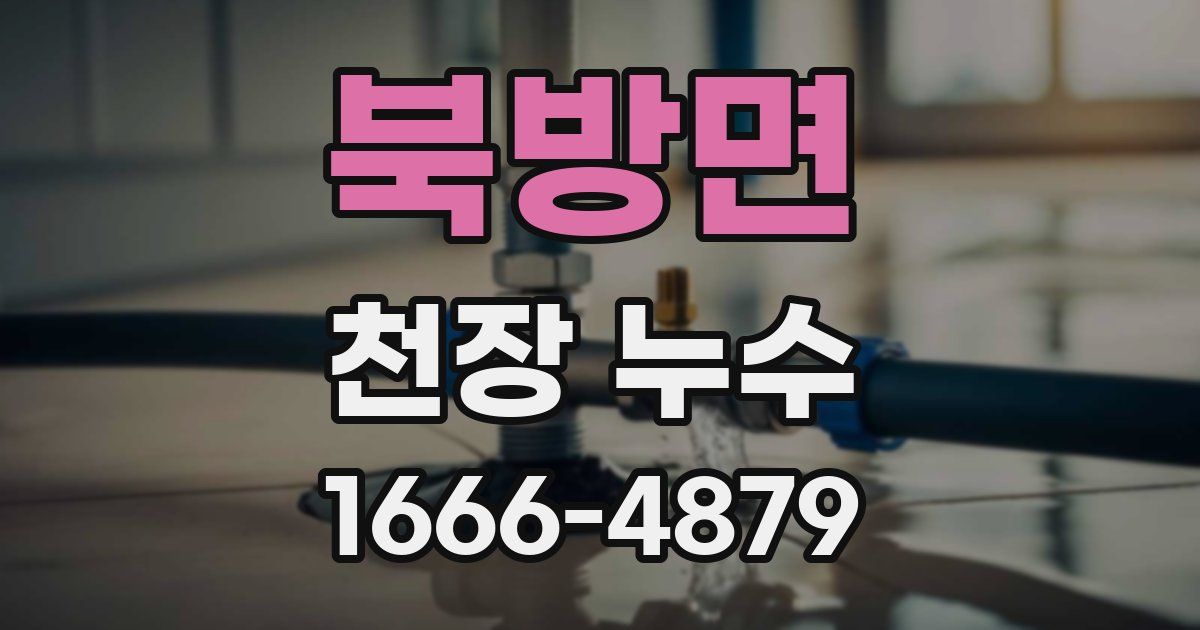 북방면 천장 누수