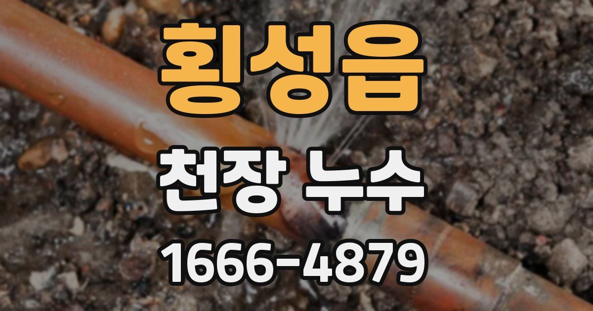 횡성읍 천장 누수