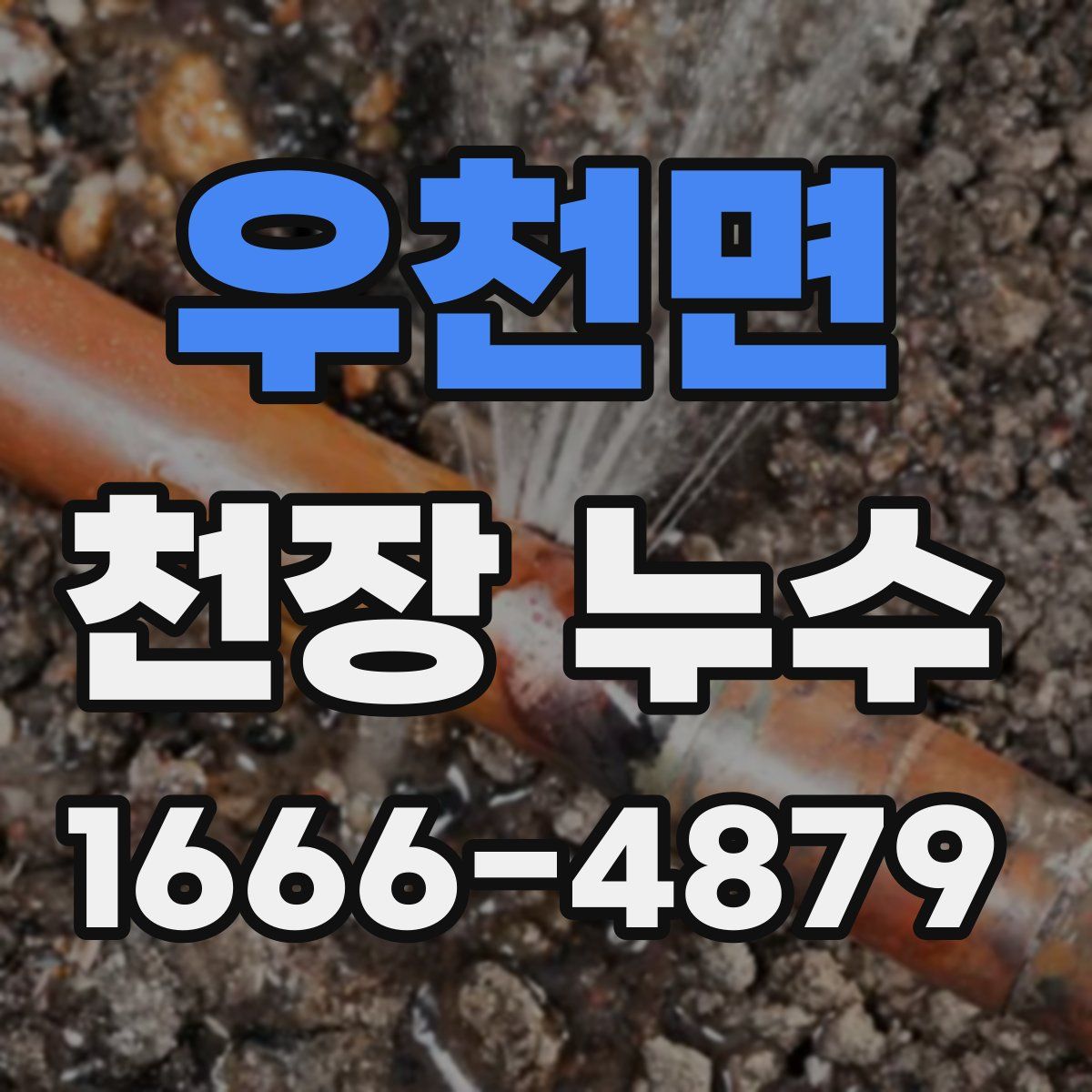 우천면 천장 누수