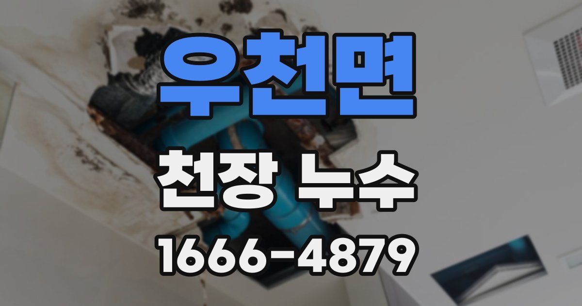 우천면 천장 누수