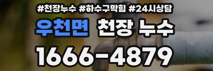 우천면 천장 누수