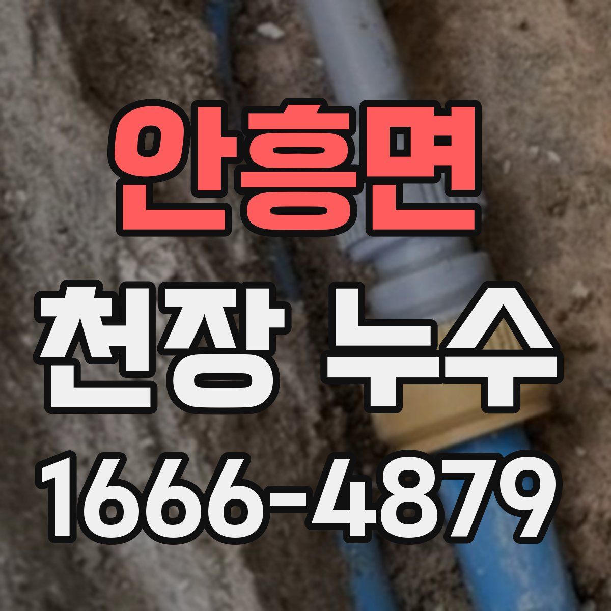 안흥면 천장 누수