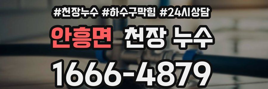 안흥면 천장 누수