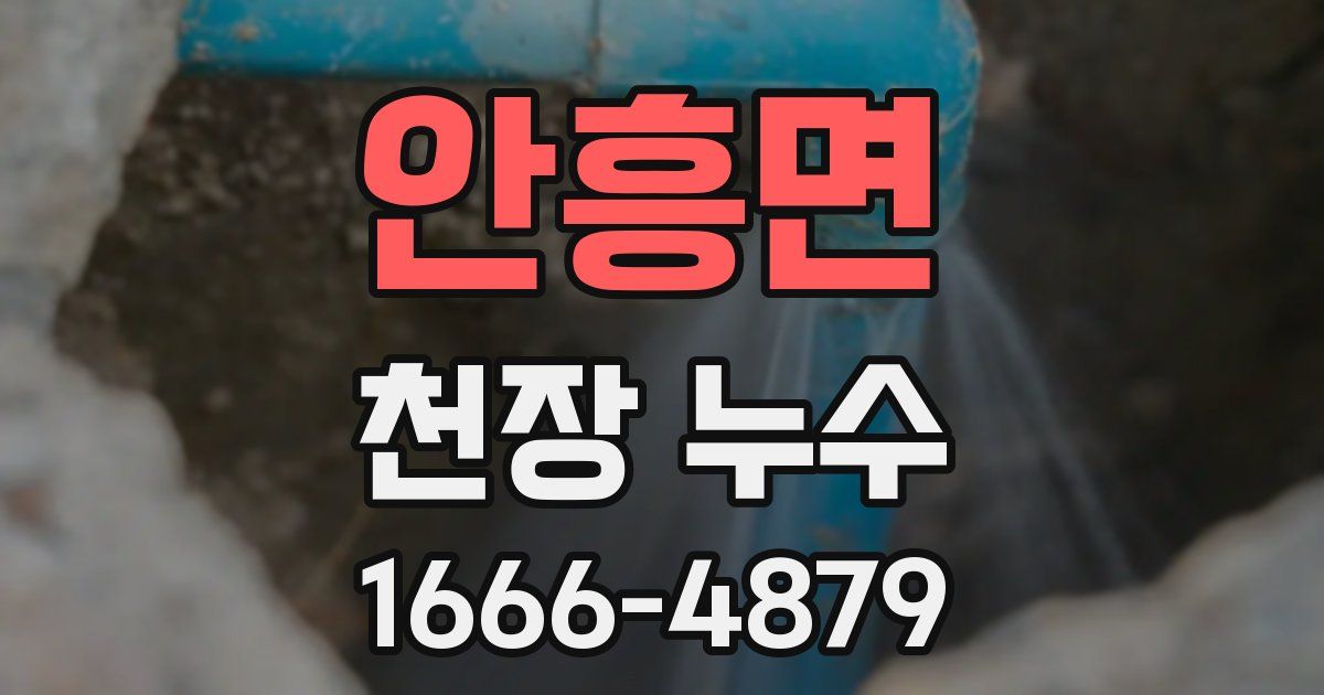 안흥면 천장 누수