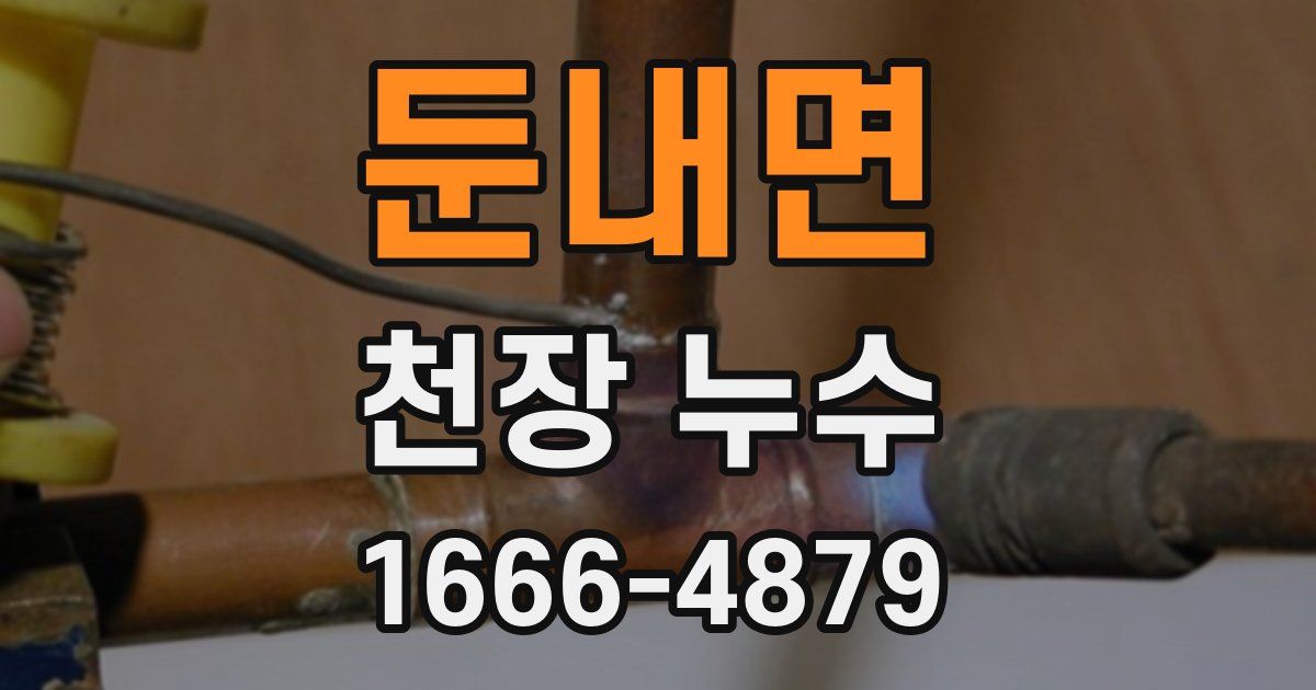 둔내면 천장 누수