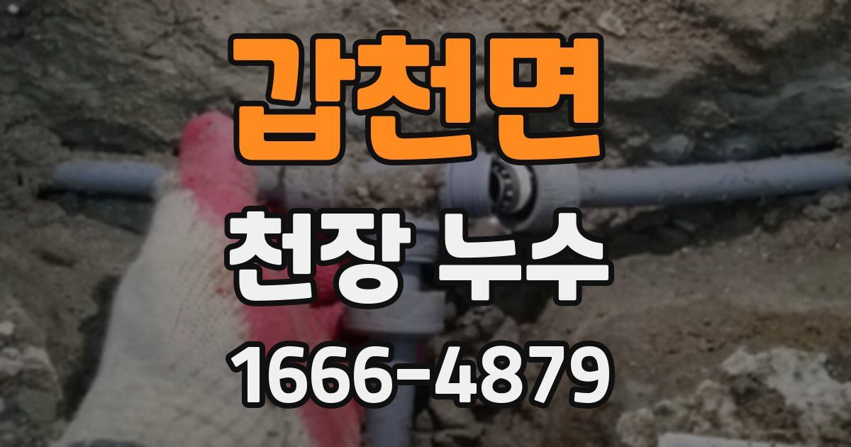 갑천면 천장 누수