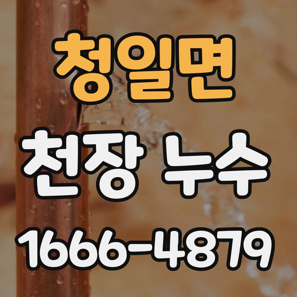 청일면 천장 누수