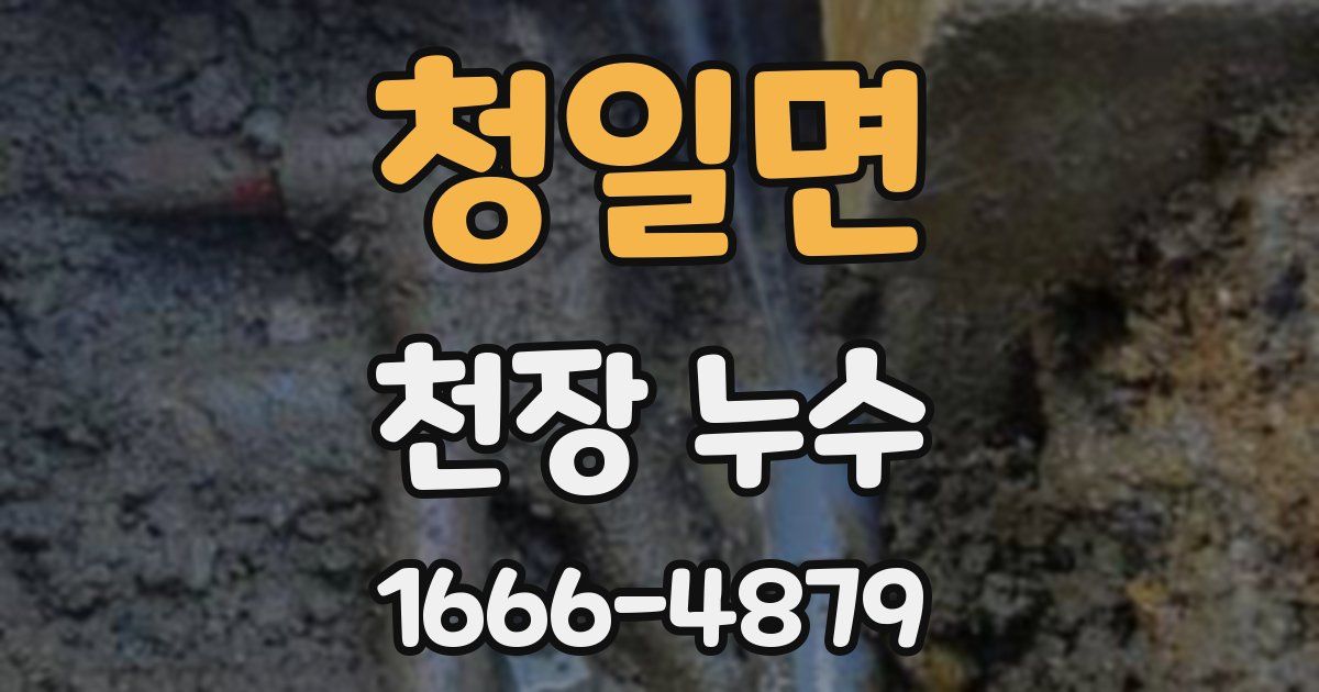 청일면 천장 누수