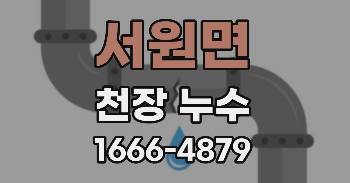 서원면 천장 누수