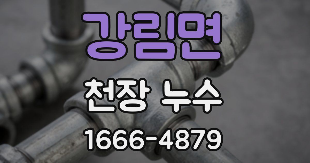 강림면 천장 누수