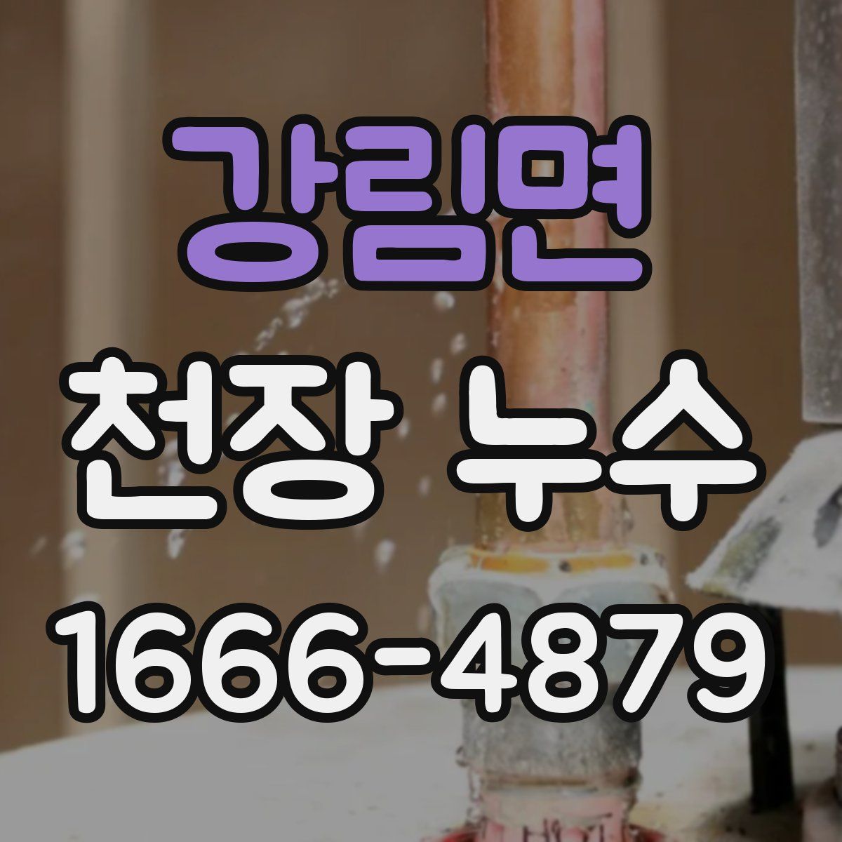 강림면 천장 누수