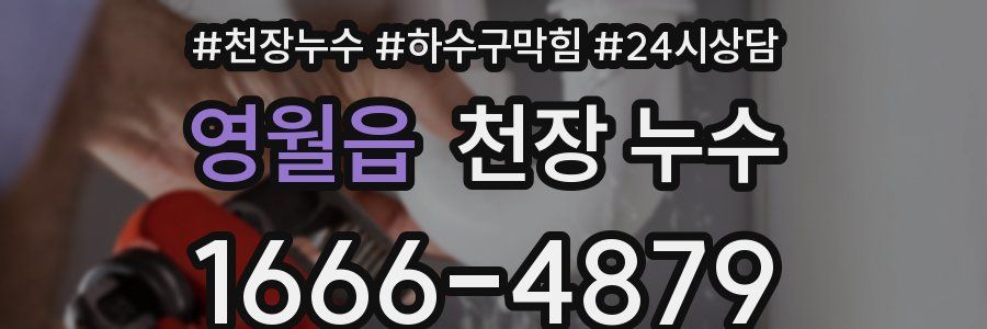 영월읍 천장 누수