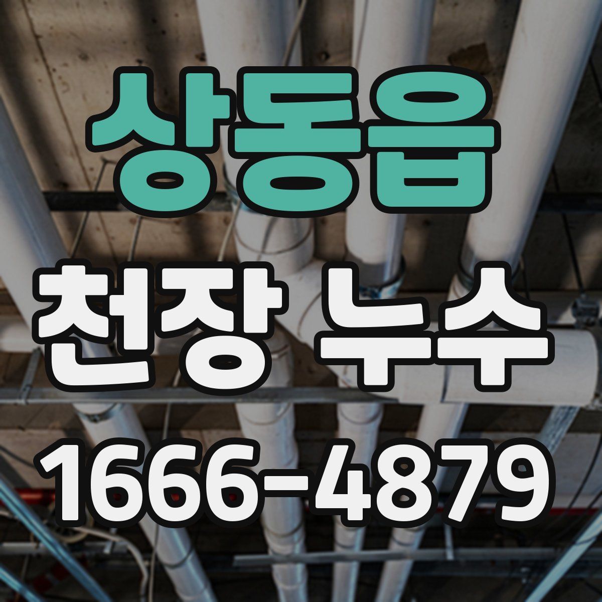 상동읍 천장 누수