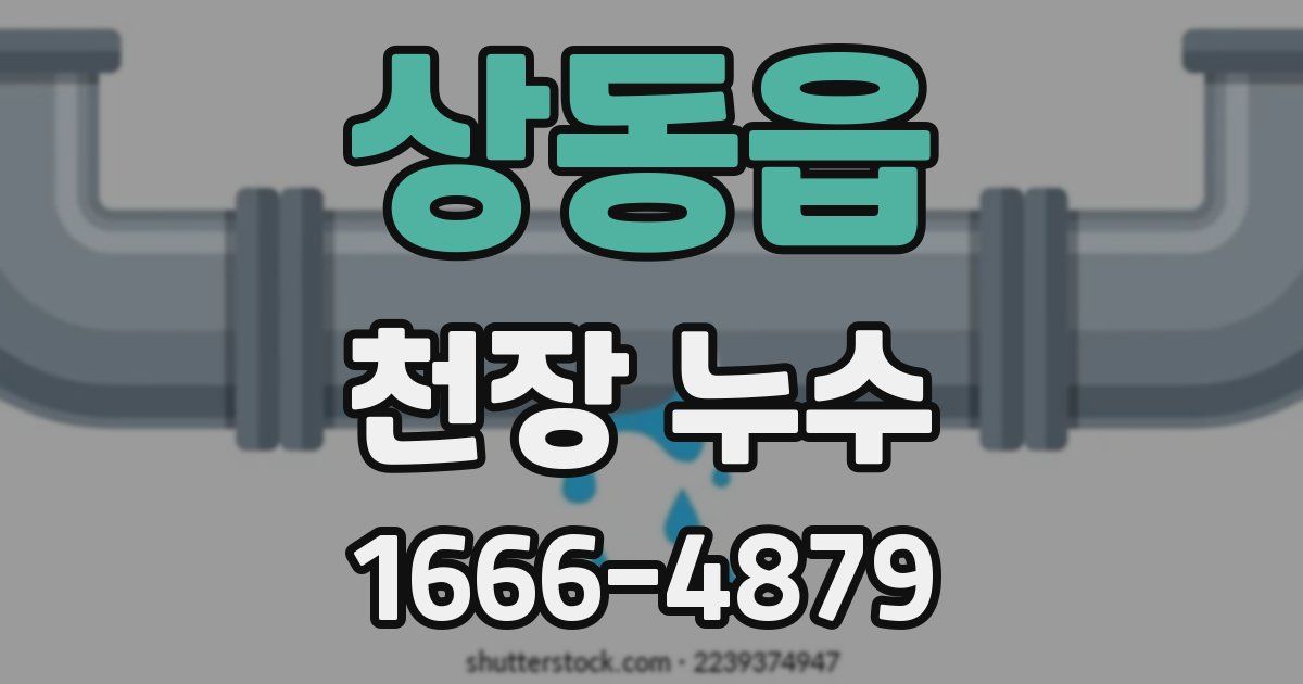 상동읍 천장 누수