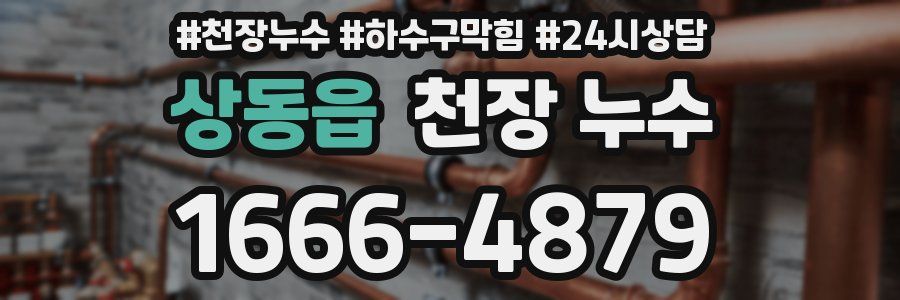 상동읍 천장 누수