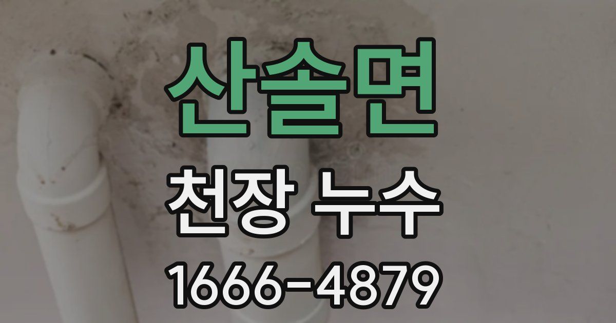 산솔면 천장 누수