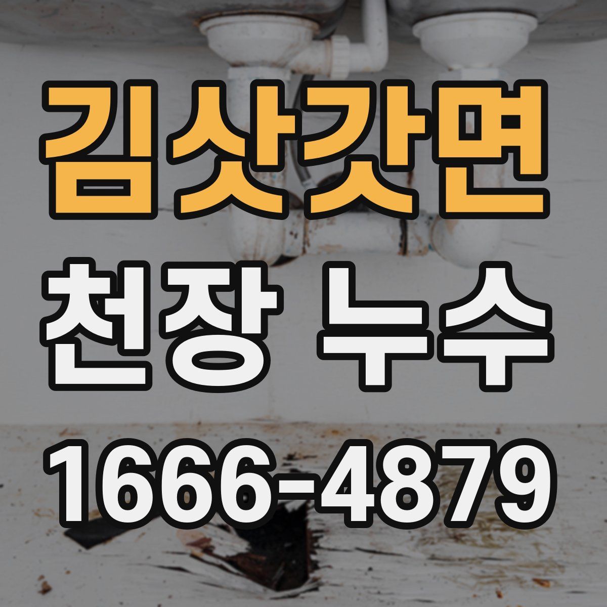 김삿갓면 천장 누수