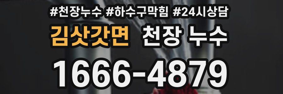 김삿갓면 천장 누수