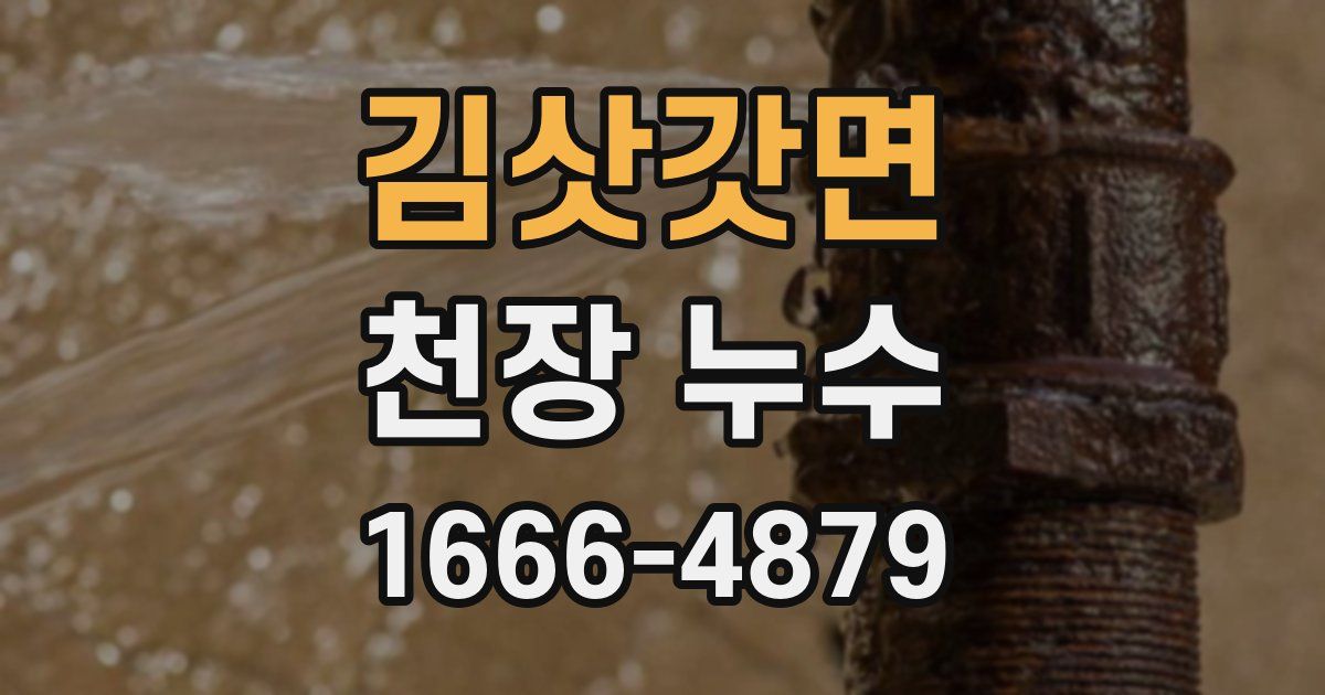 김삿갓면 천장 누수