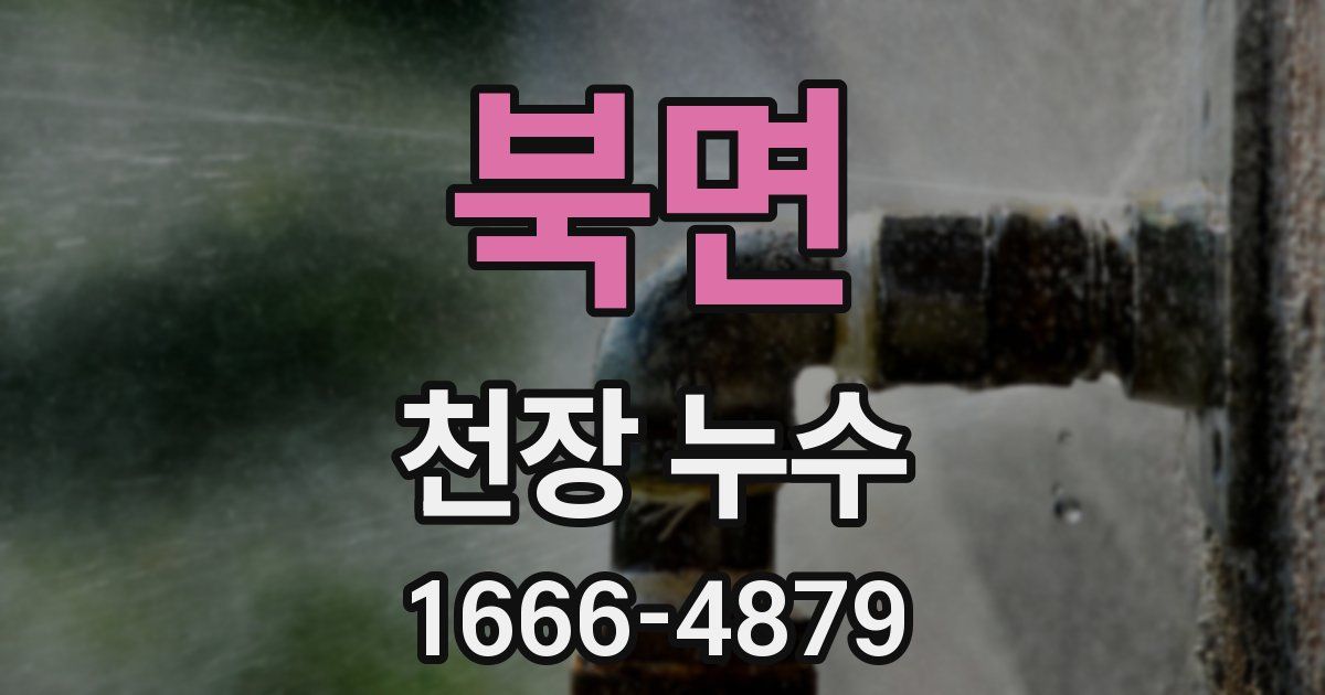 북면 천장 누수