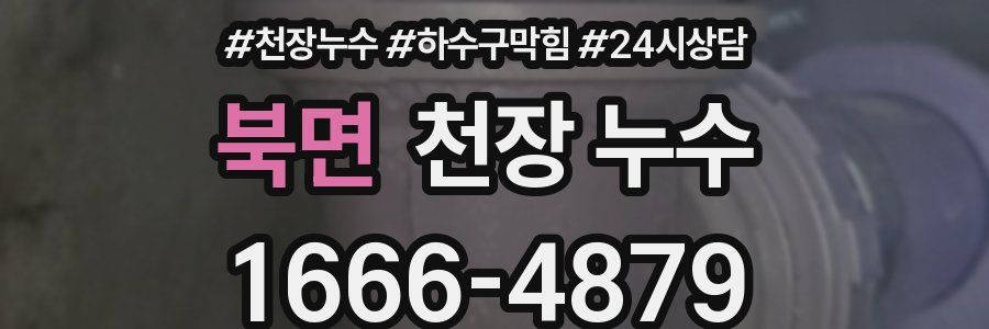 북면 천장 누수