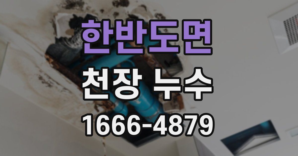 한반도면 천장 누수
