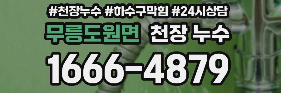 무릉도원면 천장 누수